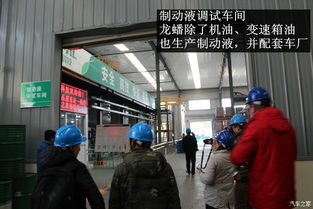 家家商城特約體驗(yàn)員探訪龍?bào)纯萍紳櫥凸S 一場科技與服務(wù)的深度碰撞