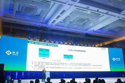 引領(lǐng)N型技術(shù)新浪潮，林洋能源發(fā)布高效N型單晶雙面組件